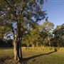 Worley Park
