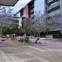 University of Southern Queensland / Springfield Campus - Exteriors