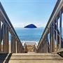 Kemp Beach and Bluff Point Scenic Walk