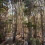 Karawatha Forest Park - Overview