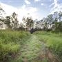 Blue Gum Reserve