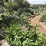 Tallavalley Farm