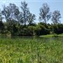 Parkland on the River - Colleges Crossing Recreation Reserve