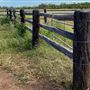 Dumbarton Cattle Station