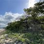 Rocky Point
