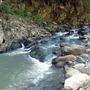 Bellthorpe National Park (Stony Creek)