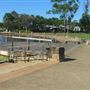 Town Park Lake Eden