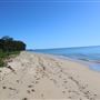Yorkeys Knob Beach