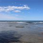 Shelly Beach