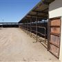 Winton Showgrouds