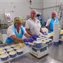 Mungalli Creek Bio-Dynamic Dairy