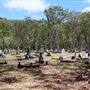 Pioneer Cemetery, Atherton