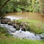 Peterson Creek Wildlife & Botanical Walking Track