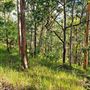 Hayes Property