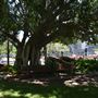Cathedral Square - Brisbane