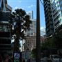 Edward Street
