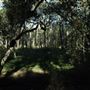 Epapah Creek - Karl's Pier track