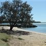Raby Bay - Foreshore Park