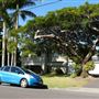 Graceville Streetscape