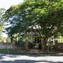 Chelmer Streetscape