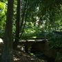 Mount Coot-tha Botanic Gardens - Australian Rainforest Track