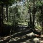 Cornubia Forest
