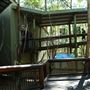 Daisy Hill Koala Centre