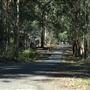 Daisy Hill Conservation Park