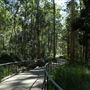 Daisy Hill Conservation Park