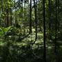Daisy Hill Conservation Park
