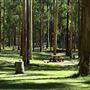 Daisy Hill Conservation Park