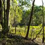 Hemmant Quarry Reserve