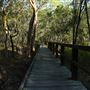 Hemmant Quarry Reserve