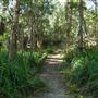 Venman Bushland