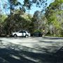 Venman Bushland
