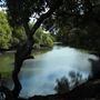Curlew Park - Cabbage Tree Creek