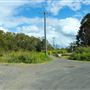 Curlew Park - Cabbage Tree Creek