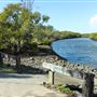 Nudgee Beach Wetlands Reserve