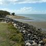 Tuckeroo Park & Dog beach