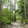Enoggera Reservoir