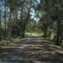 118 Green Camp Rd