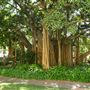 QUT Gardens Point U Block / Chancellery / Art Gallery