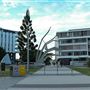 Waterfront Park