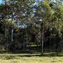 Rural Rainforest and High Fence