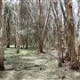 Gold Coast - Coombabah Lakelands