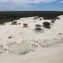 South Stradbroke Island