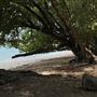 Garners Beach