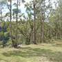 Stockyard Creek