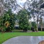 Half acre, pool, shed family home. Lake across road.