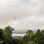 Montville - Misty View Cottages